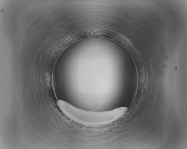 X0000057090025200509161641