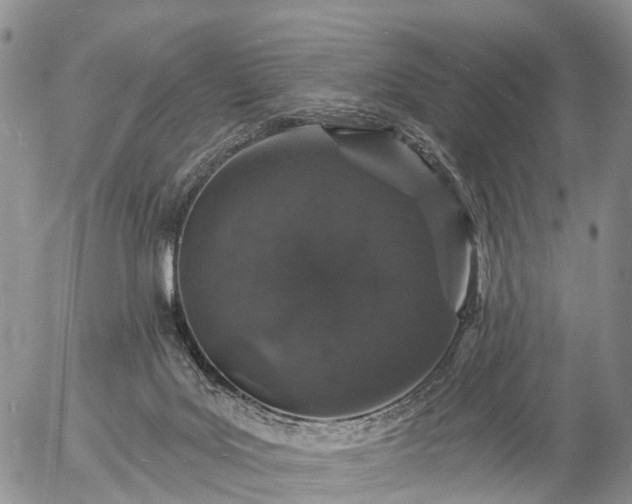 X0000057090027200509161640