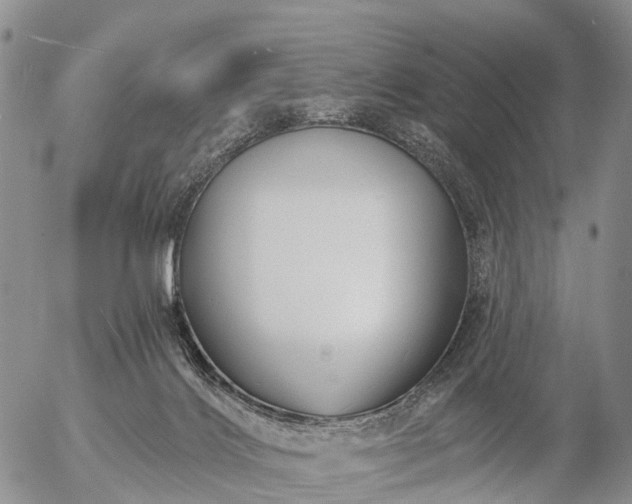 X0000057090028200509161640