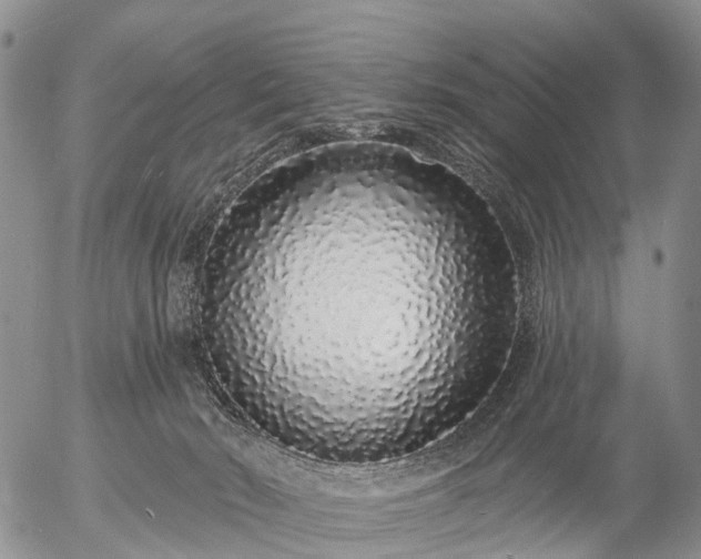 X0000057090030200509161640