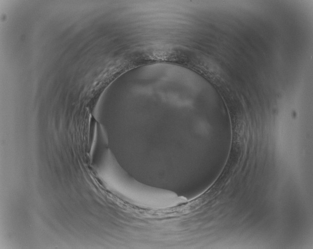 X0000057090031200509161640