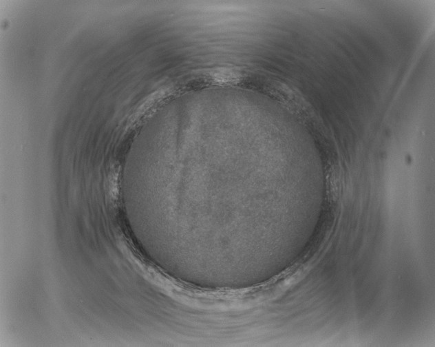 X0000057090032200509161640