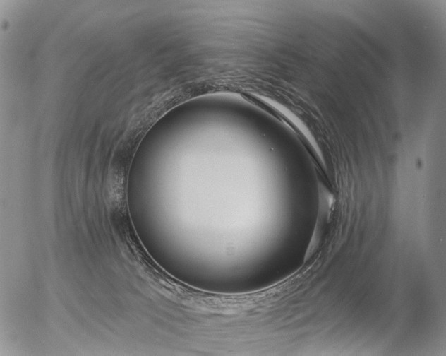 X0000057090033200509161640