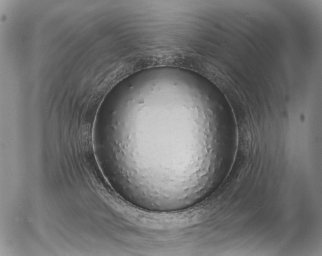 X0000057090034200509161640