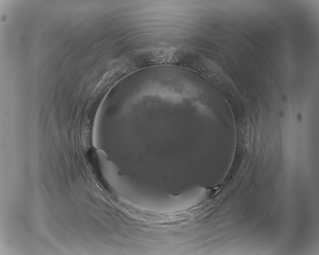 X0000057090035200509161640