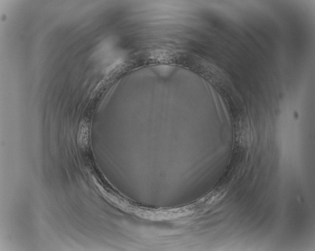 X0000057090036200509161640