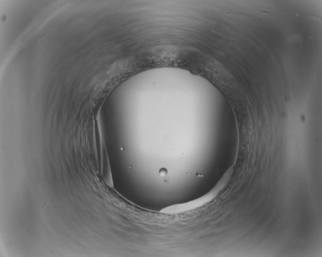 X0000057090037200509161640