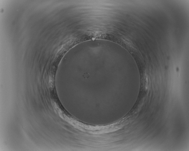 X0000057090039200509161640