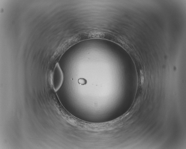 X0000057090041200509161640