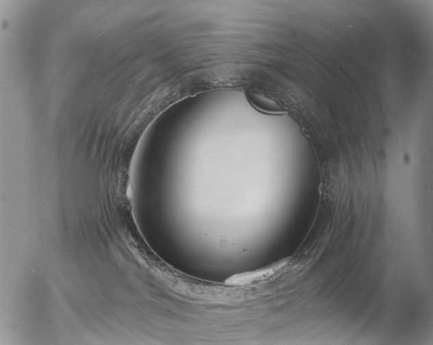 X0000057090044200509161640