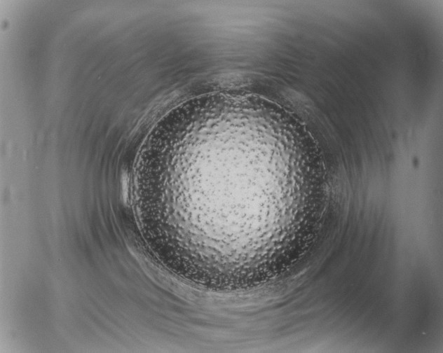 X0000057090046200509161640