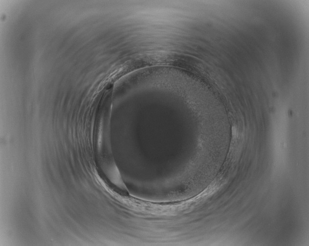 X0000057090048200509161640