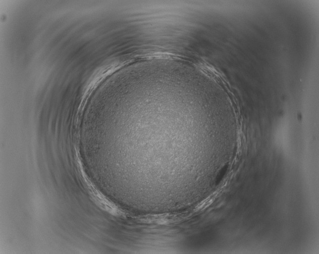 X0000057090049200509161639