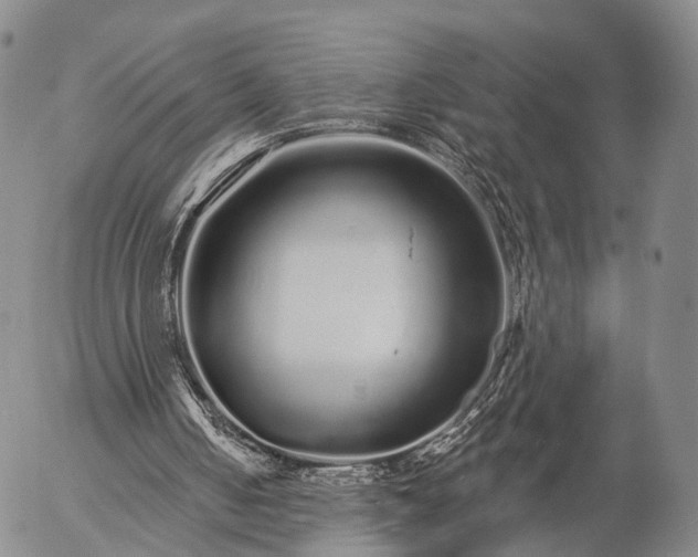 X0000057090050200509161639