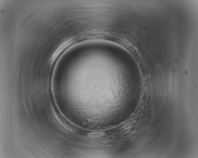 X0000057090051200509161639