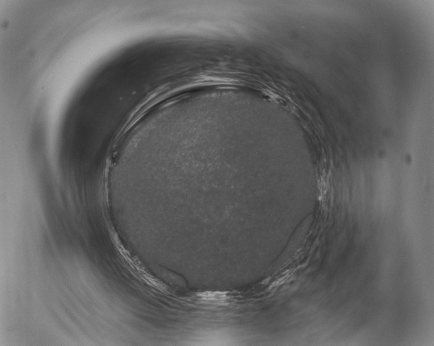 X0000057090052200509161639