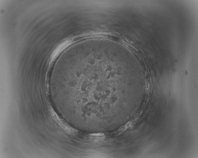 X0000057090053200509161639