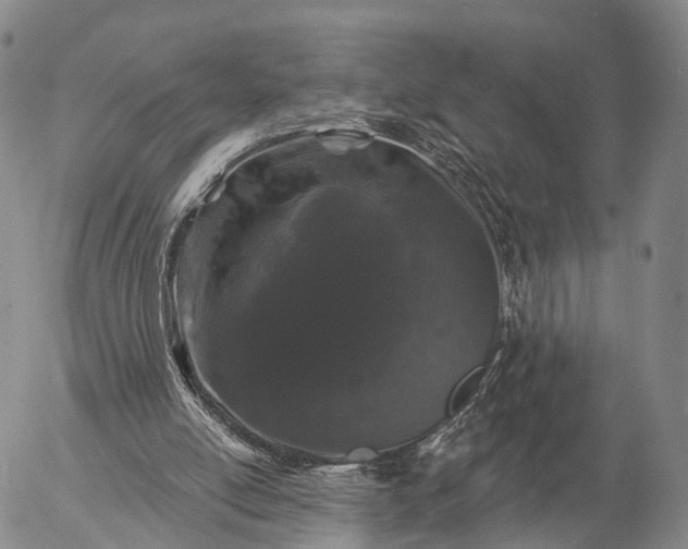 X0000057090054200509161639