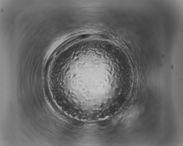 X0000057090055200509161639