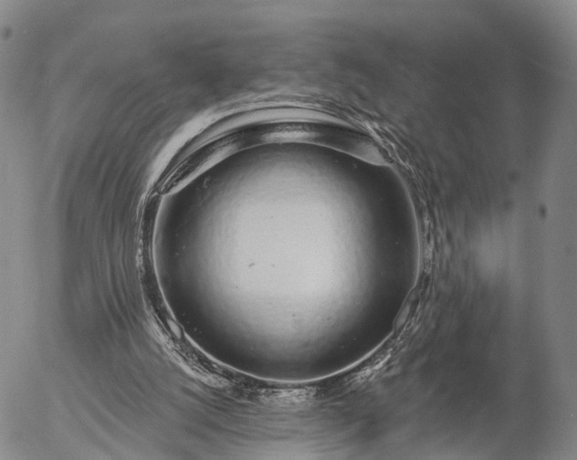 X0000057090056200509161639