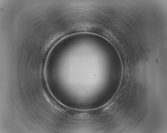 X0000057090058200509161640