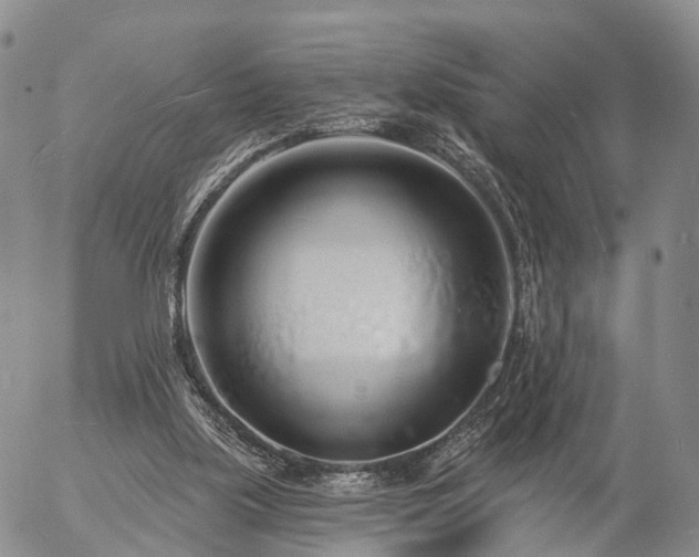 X0000057090059200509161640