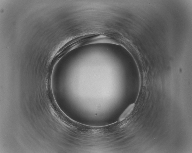 X0000057090060200509161640