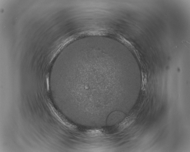 X0000057090061200509161640