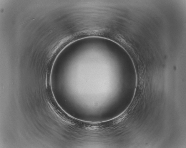 X0000057090062200509161640