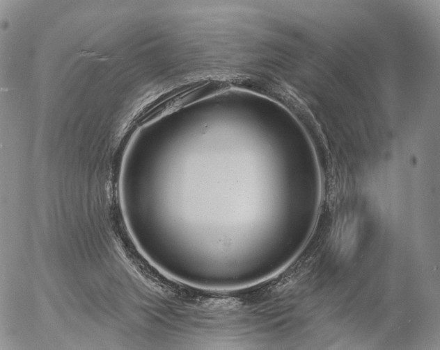 X0000057090063200509161640