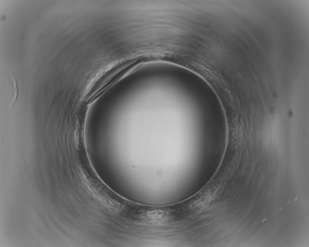 X0000057090064200509161640