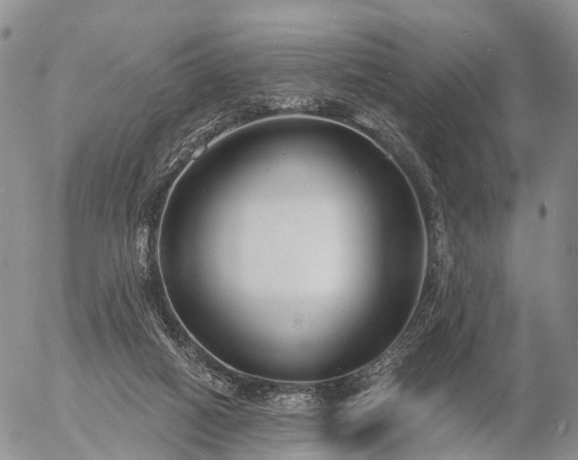 X0000057090066200509161640