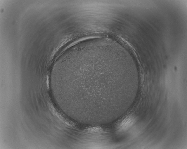 X0000057090067200509161640