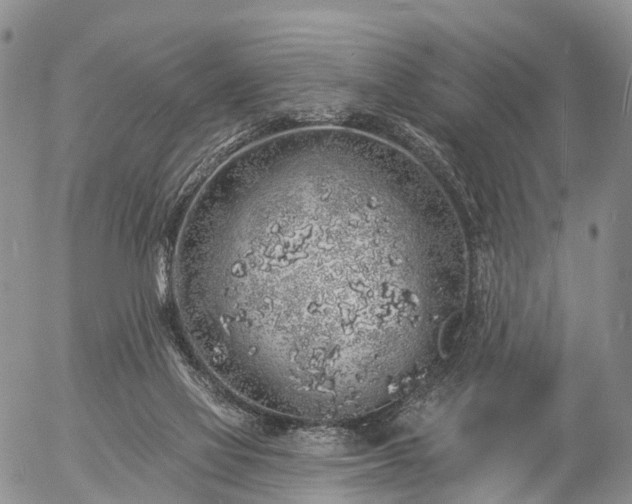 X0000057090069200509161640