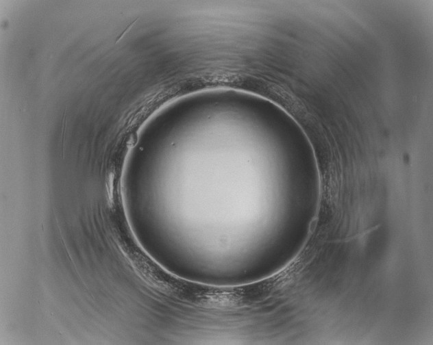 X0000057090070200509161640