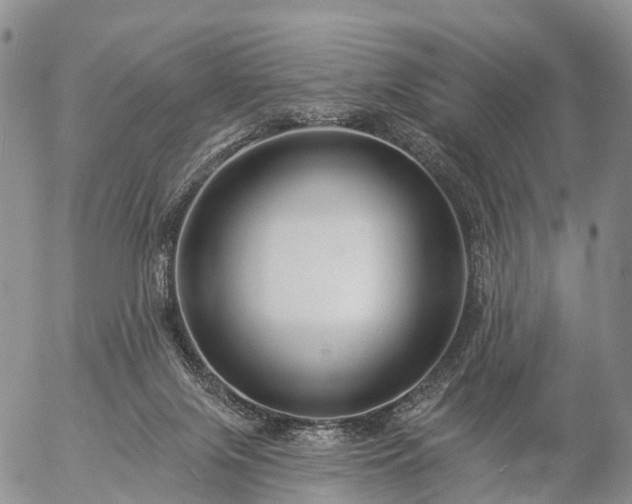 X0000057090071200509161640