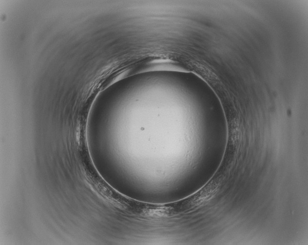 X0000057090072200509161640