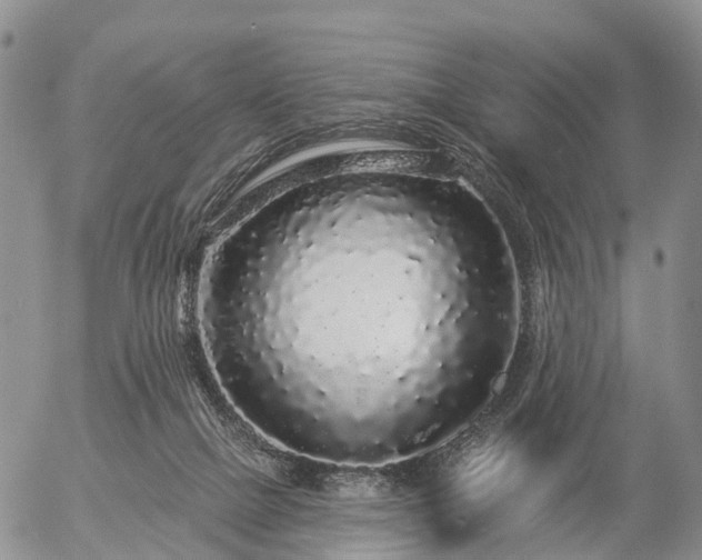 X0000057090073200509161640