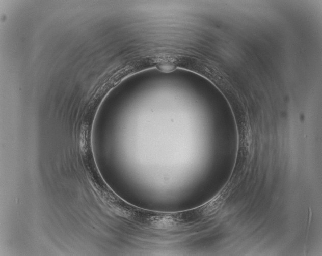 X0000057090074200509161640