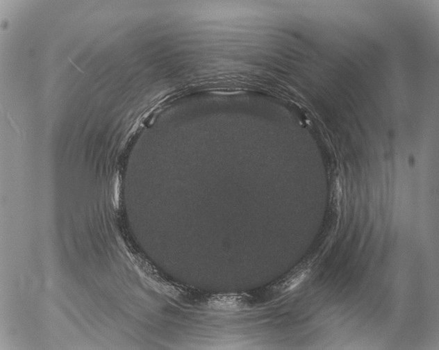 X0000057090076200509161640