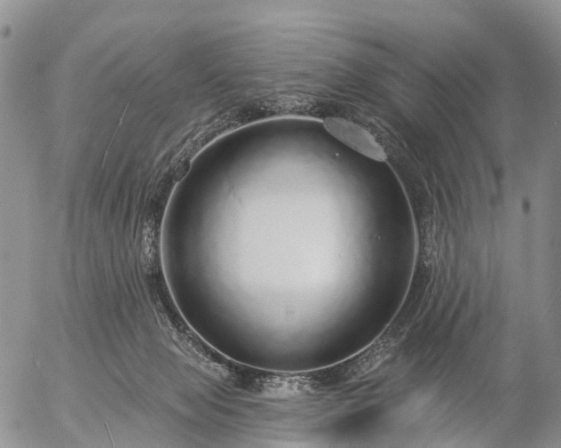 X0000057090077200509161640