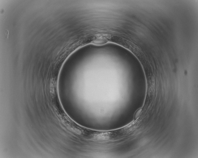 X0000057090078200509161640