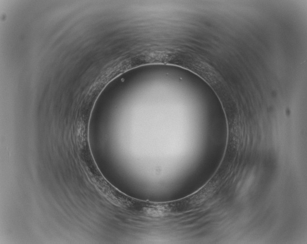 X0000057090079200509161640