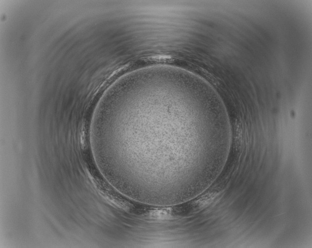 X0000057090080200509161640