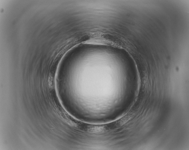 X0000057090081200509161640