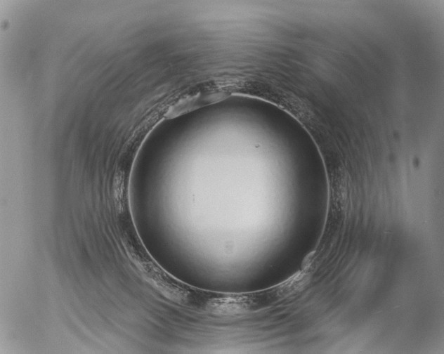 X0000057090082200509161640