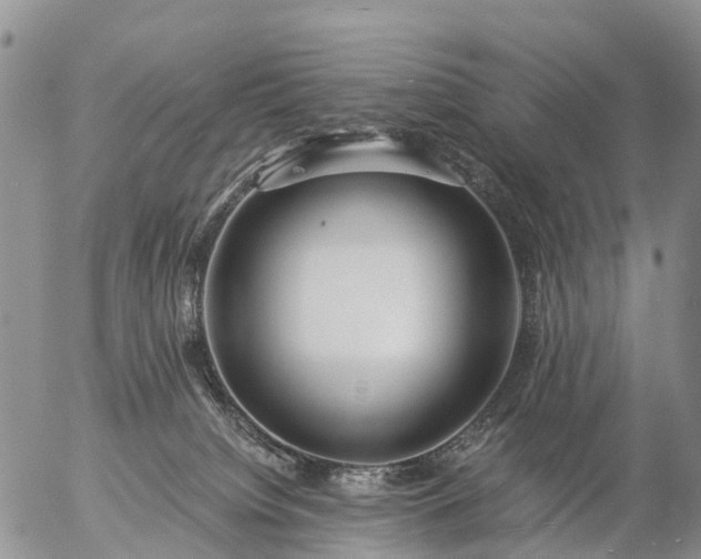 X0000057090084200509161640