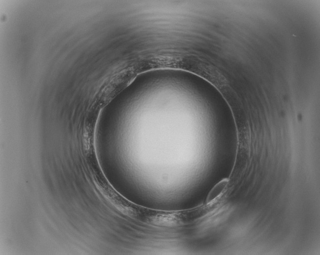 X0000057090086200509161640