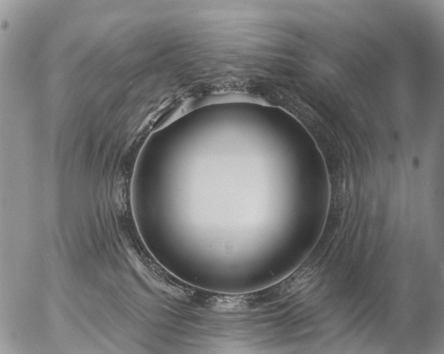 X0000057090088200509161640