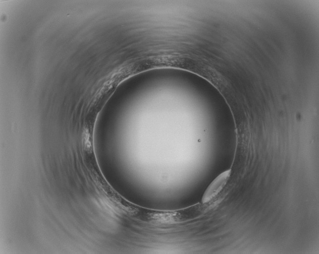 X0000057090089200509161640